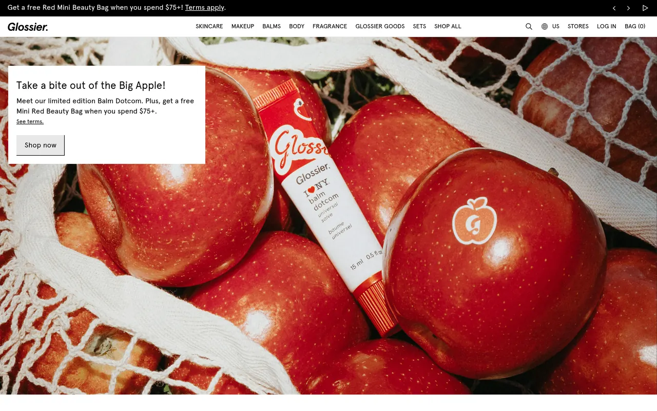 Premium website example 5